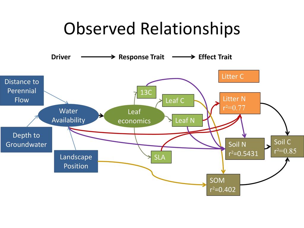 Application of trait based mechanisms to resilience of ecosystem