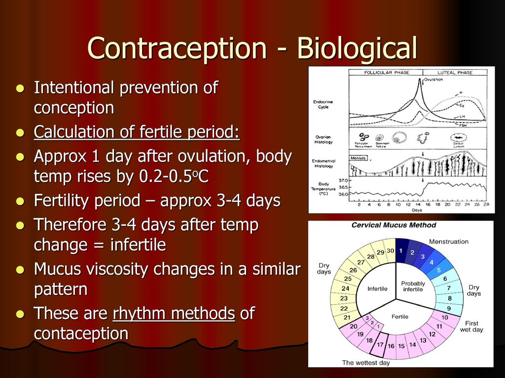 intervention-in-fertility-ppt-download