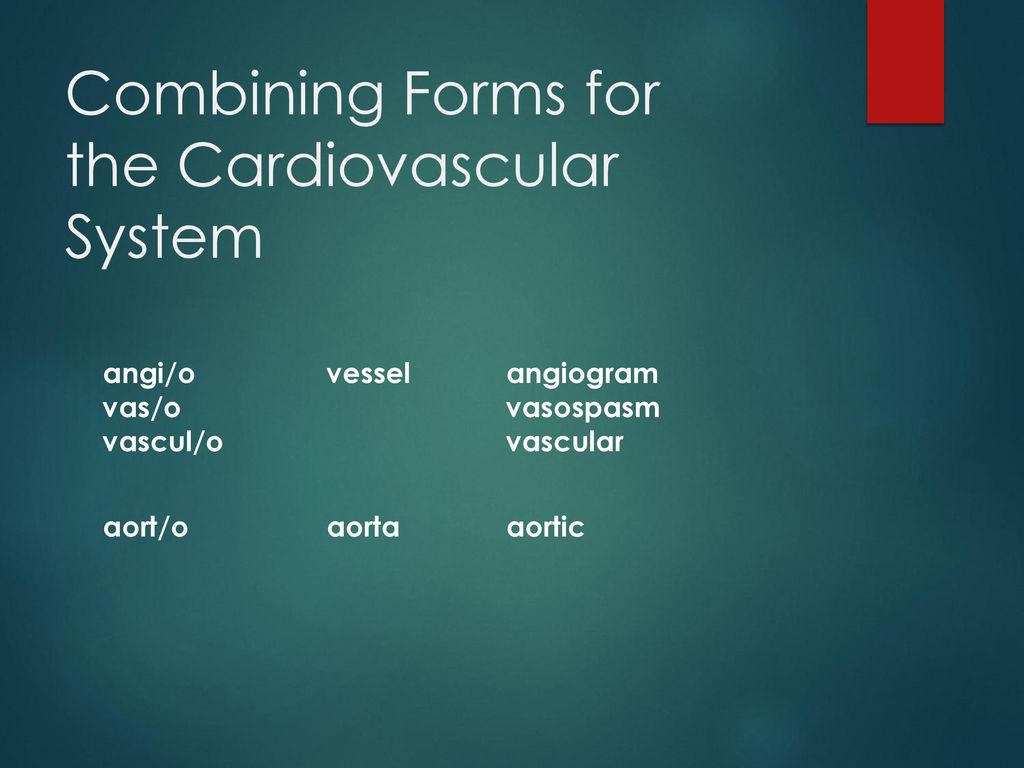 Cardiovascular System - ppt download