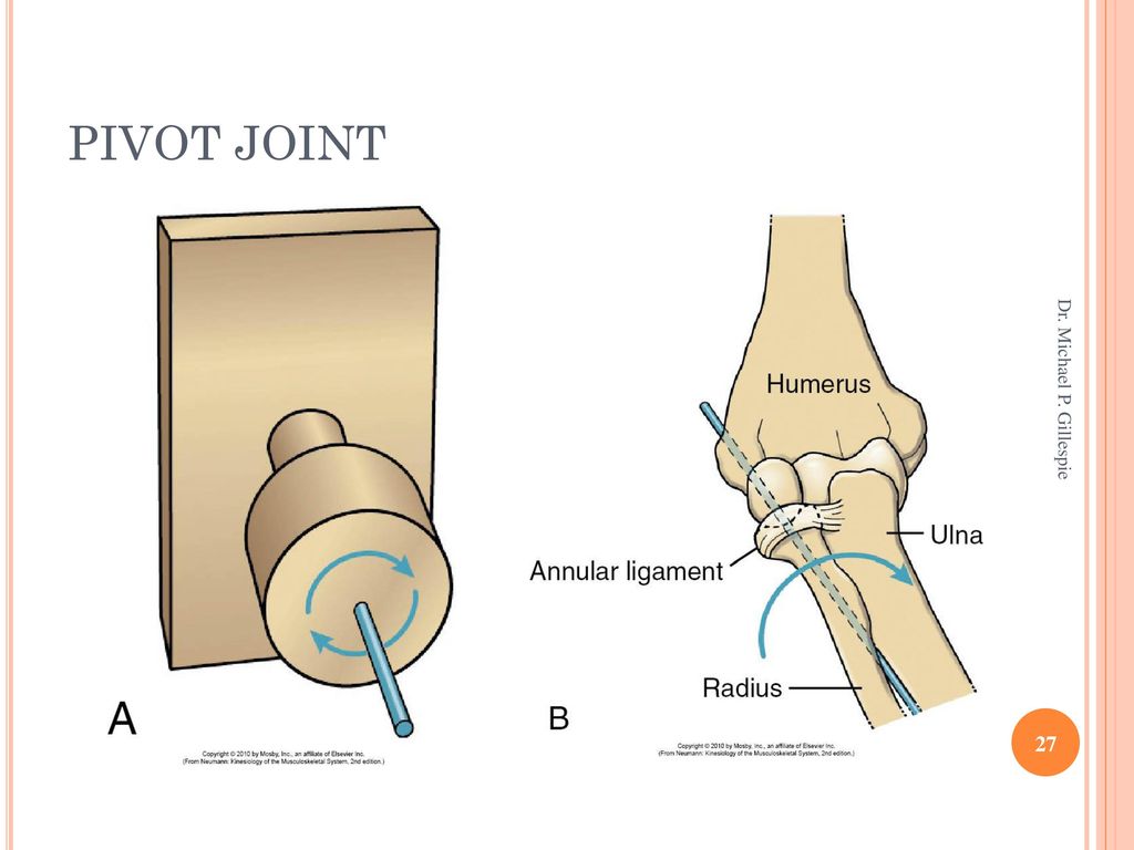 mechanical pivot joint