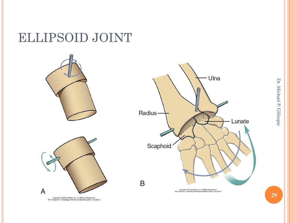 Ellipsoid Joint