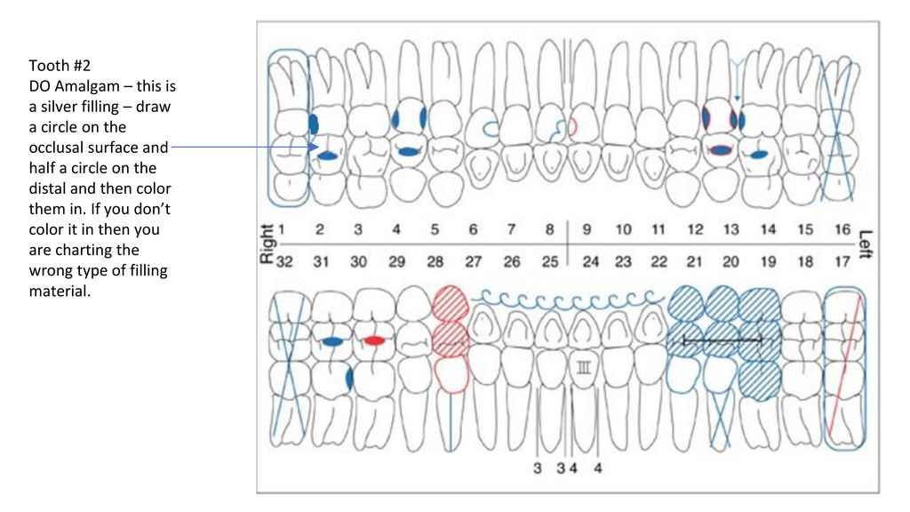 Dental Paper Charting