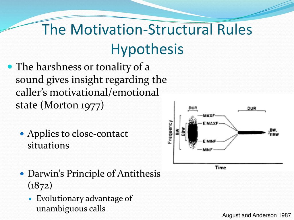 Testing the Motivation-Structural Rules Hypothesis in Southern Resident ...