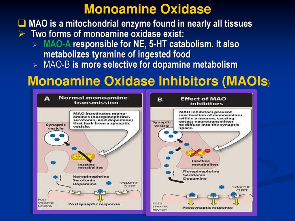 Drugs Used In Depression Prof Yieldez Bassiouni Ppt Download Drugs Used In Depression Prof Yieldez Bassiouni Ppt Download