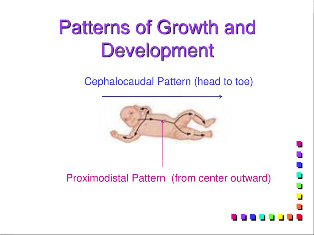 Growth and development ppt download