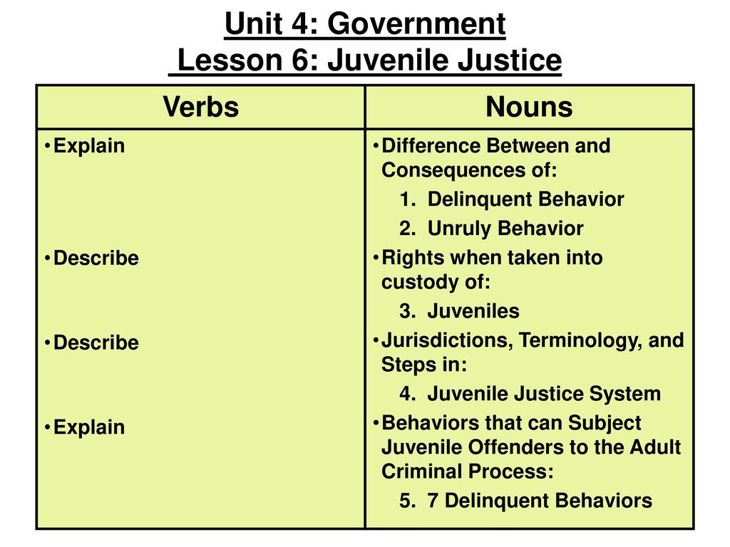 Unit 4: Government Lesson 6: Juvenile Justice