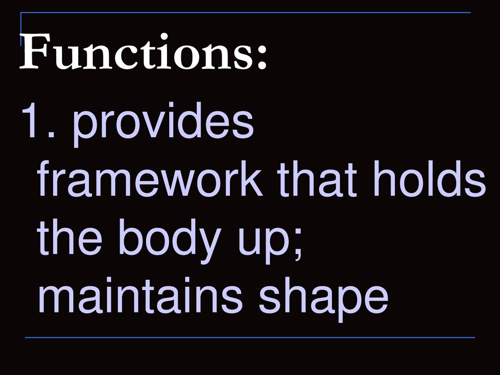 Functions: 1. provides framework that holds the body up; maintains shape