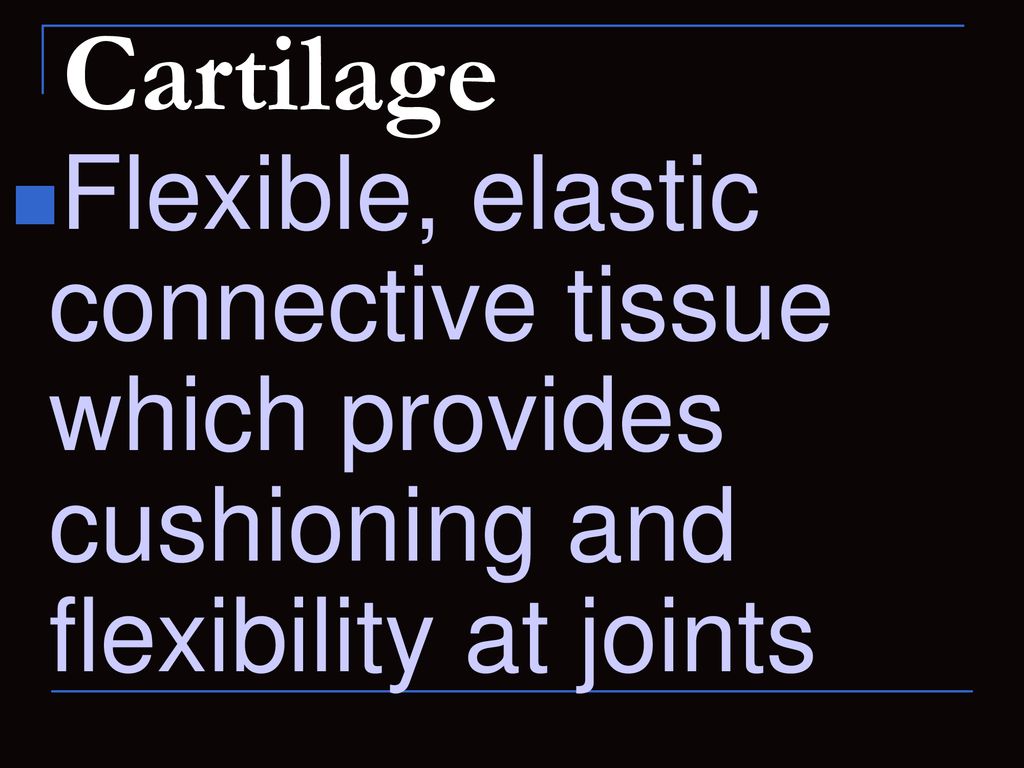 Cartilage Flexible, elastic connective tissue which provides cushioning and flexibility at joints