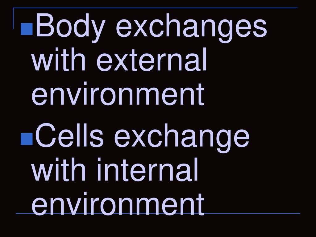Body exchanges with external environment
