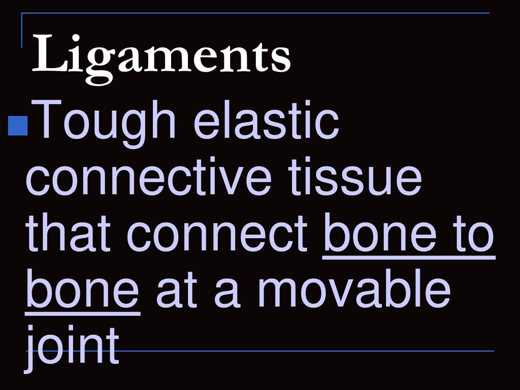 Ligaments Tough elastic connective tissue that connect bone to bone at a movable joint