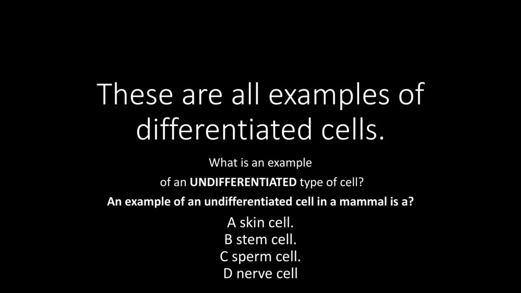 Brainpop cell specialization ppt download