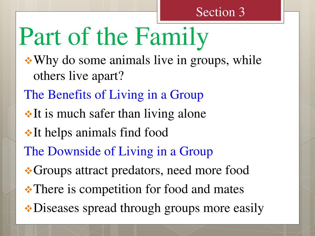 Animals & Behavior Chapter ppt download