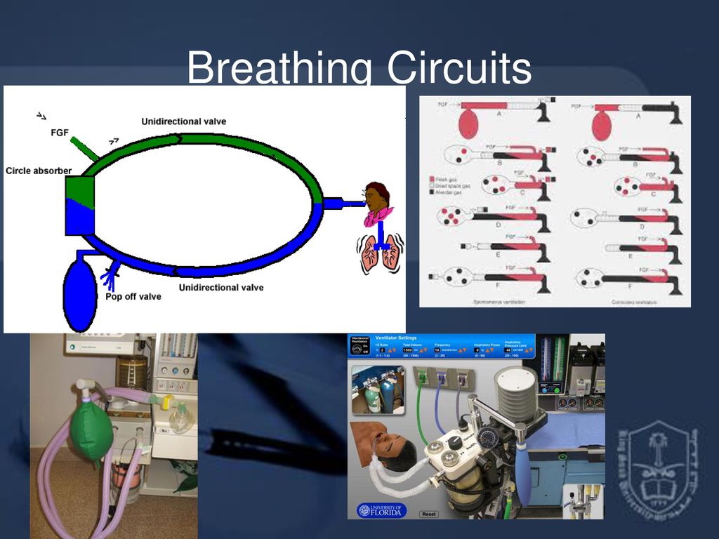Breathing Circuits