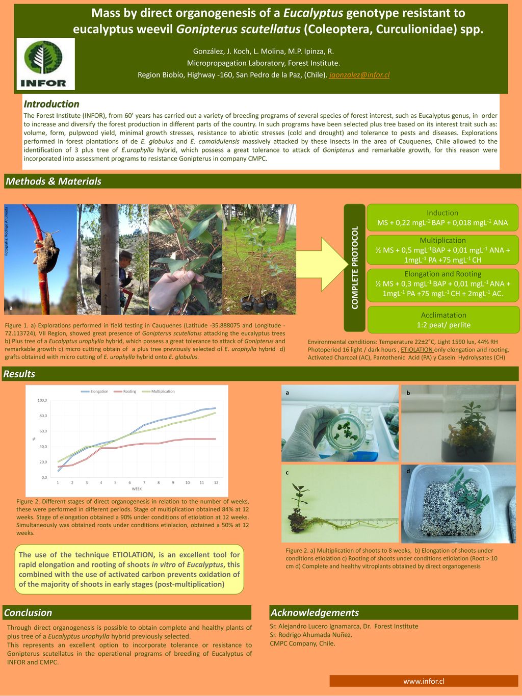 Mass by direct organogenesis of a Eucalyptus genotype resistant to