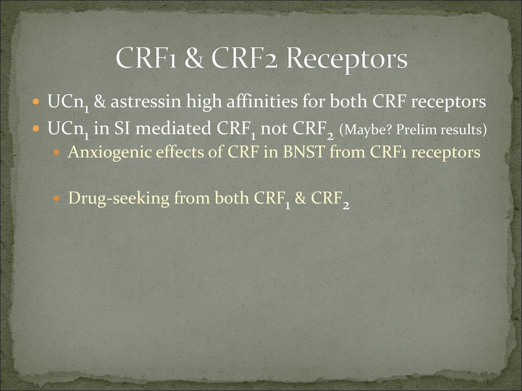 CRF1 & CRF2 Receptors UCn1 & astressin high affinities for both CRF receptors. UCn1 in SI mediated CRF1 not CRF2 (Maybe Prelim results)