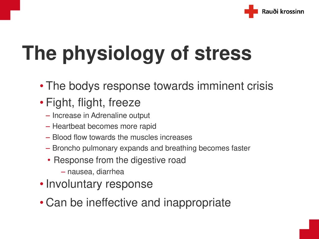 Psychosocial support Icelandic Red Cross. - ppt download