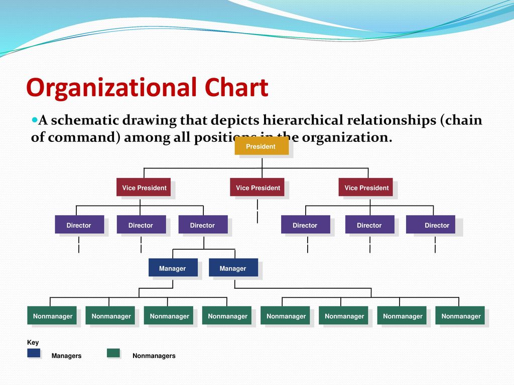 Organizational Chart A schematic drawing that depicts hierarchical relationships (chain of command) among all positions in the organization.
