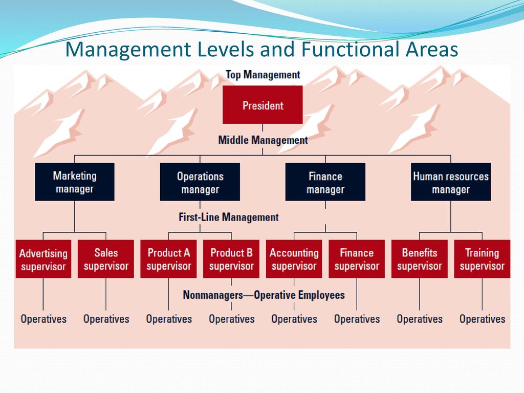 Management Levels and Functional Areas