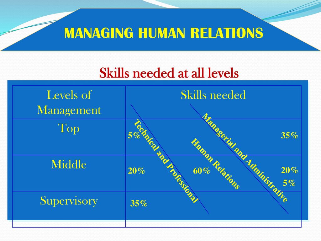 Skills needed at all levels
