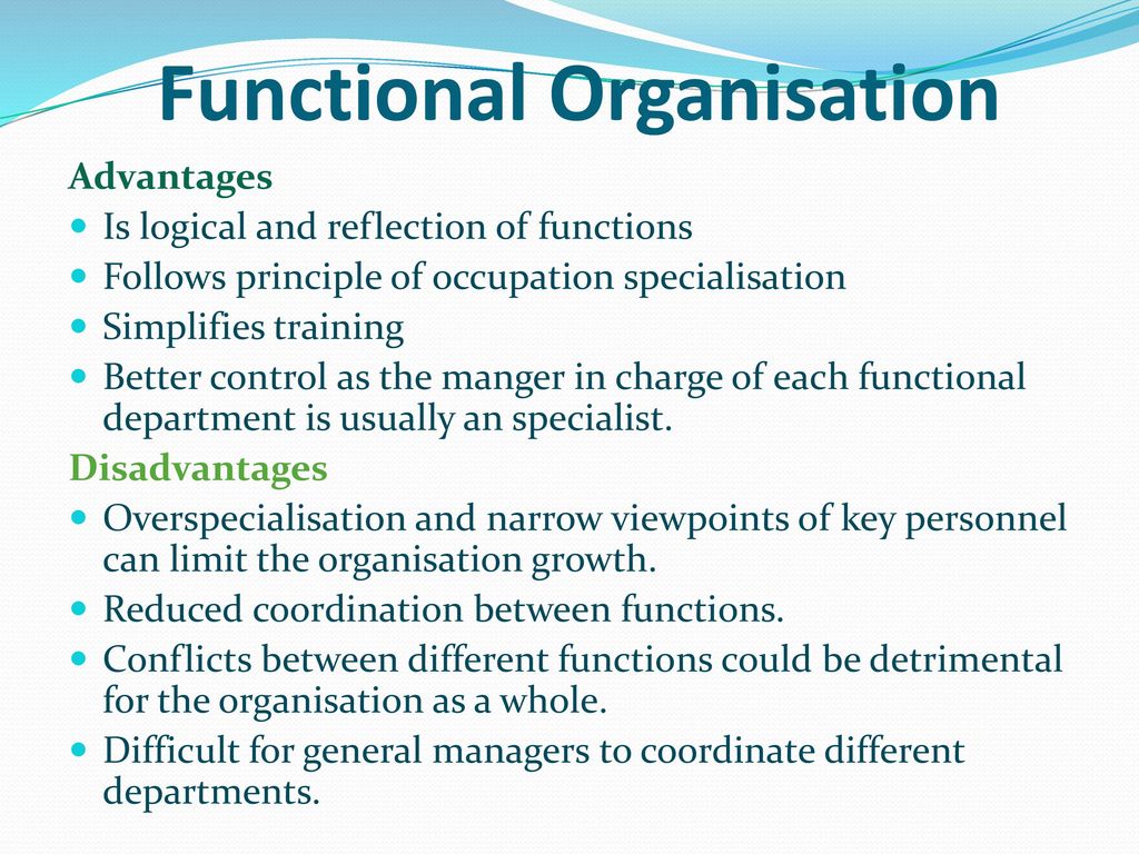 Functional Organisation