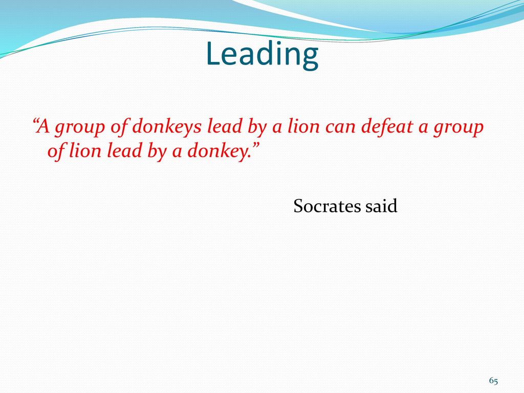 Leading A group of donkeys lead by a lion can defeat a group of lion lead by a donkey. Socrates said.