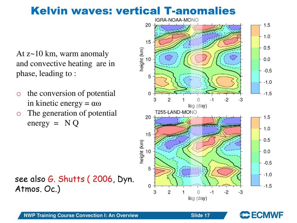 Kelvin waves: vertical T-anomalies