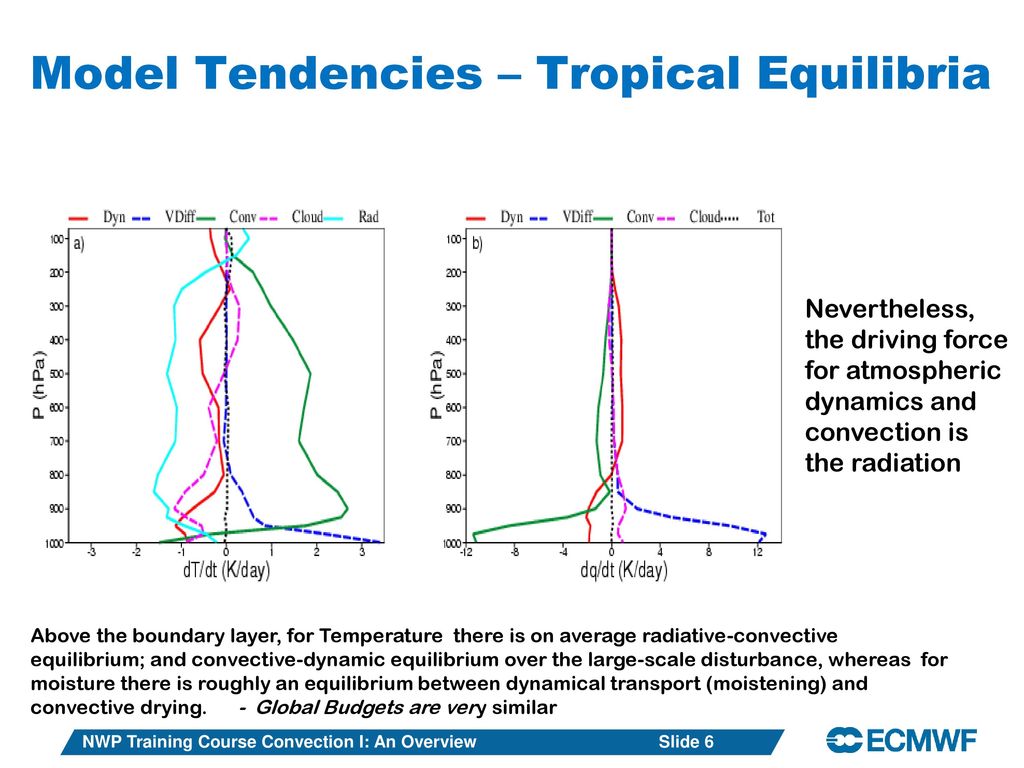 Model Tendencies – Tropical Equilibria