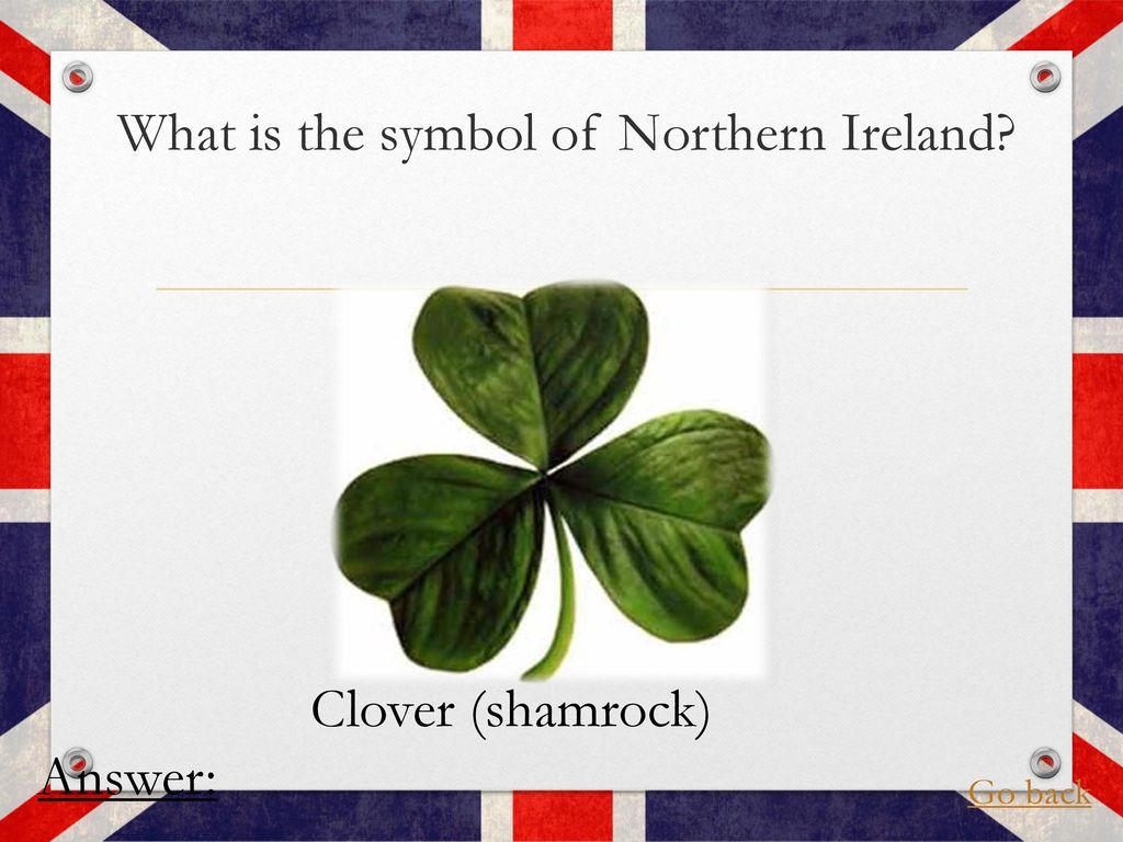 The symbol. Symbol of Northern Ireland Shamrock. The Shamrock is the symbol of Ireland. The symbol of Northern Ireland is Shamrock. Shamrock symbol of Ireland.