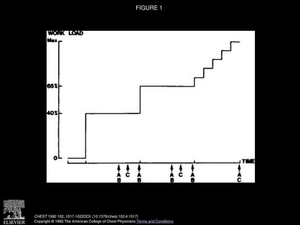 Improved Ventilatory Response To Exercise After Cardioversion Of google-image-result-for-https-i-pinimg-originals-1f-c6-f2