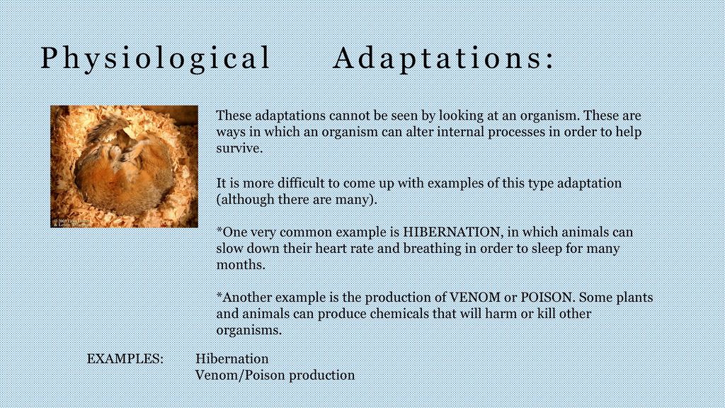 ADAPTATIONS Organisms (Living Things) like plants and animals have many  ways to survive and be successful. - ppt download