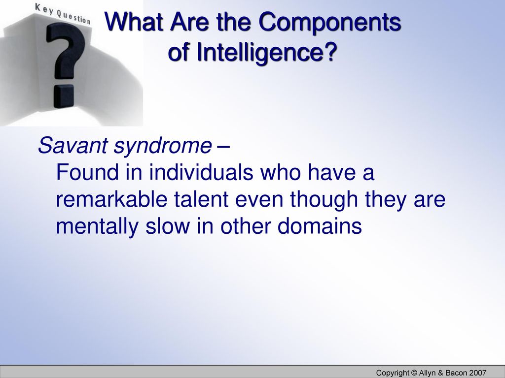 What Are the Components of Intelligence