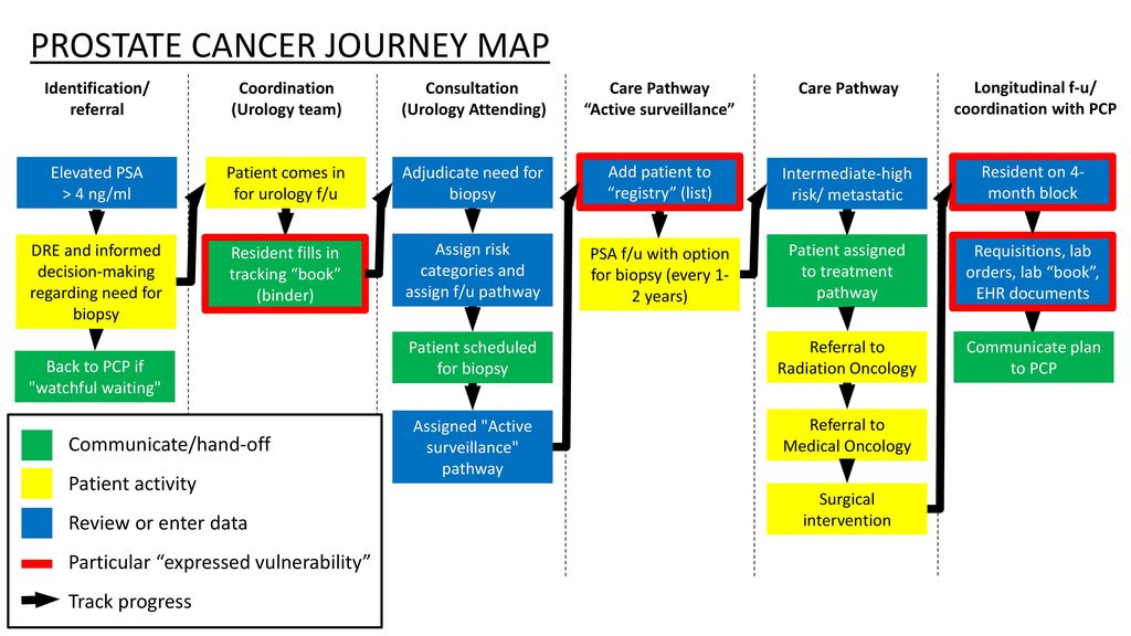 prostate cancer journey