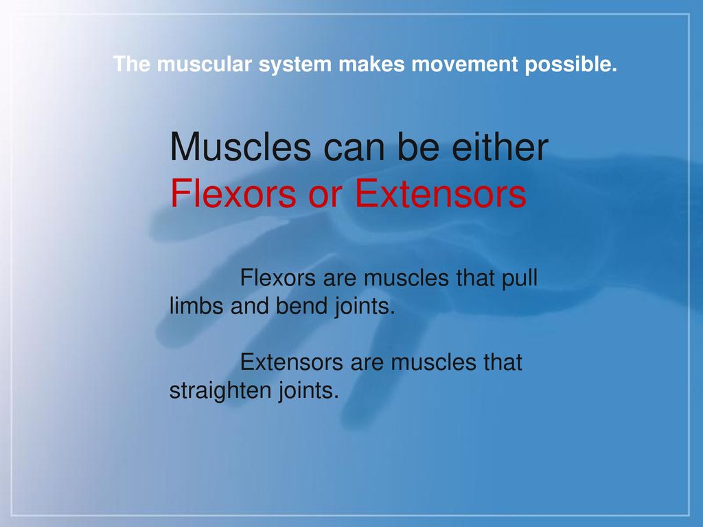 The human body is complex Biology Diagrams