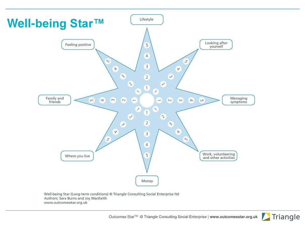 Introducing the outcomes star ppt download