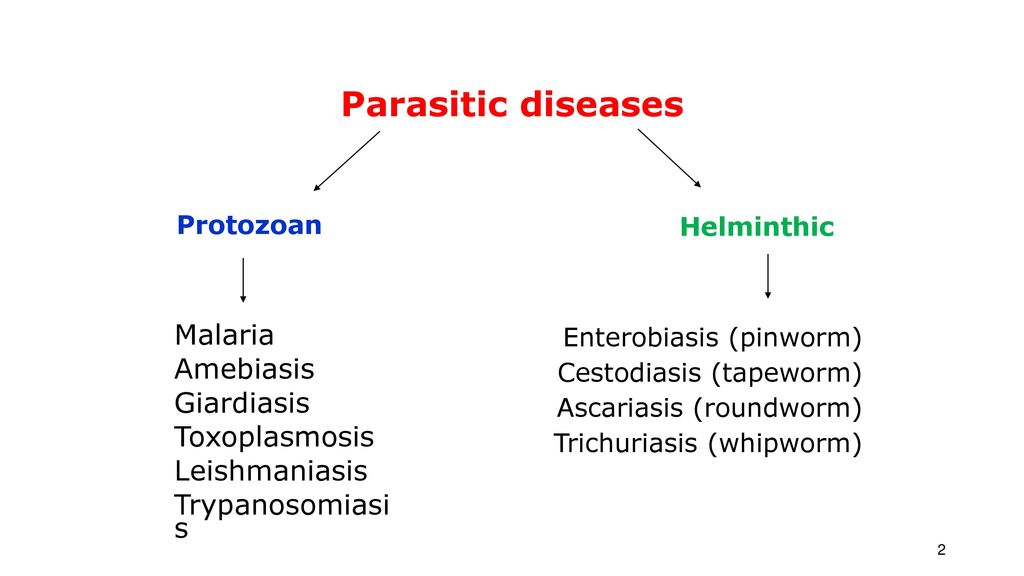 enterobiosis giardiasis)