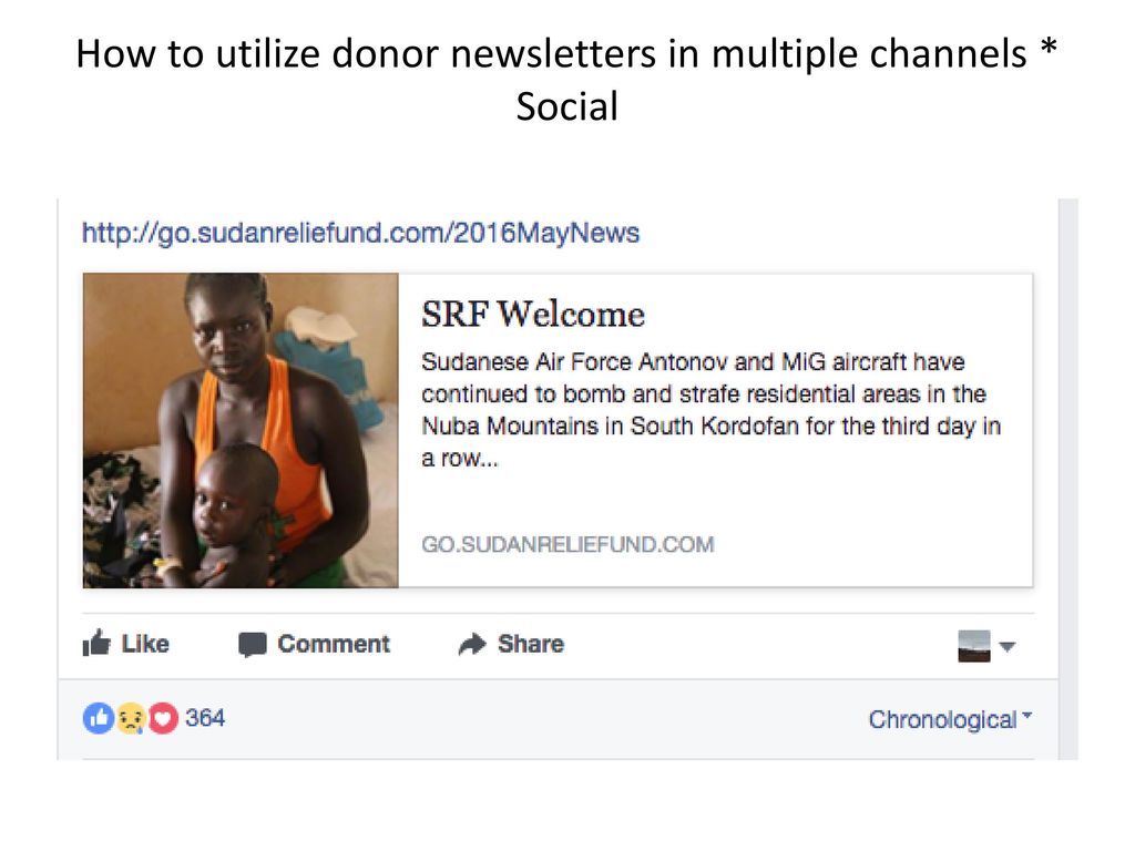 What Goes Into a Donor Newsletter ppt download