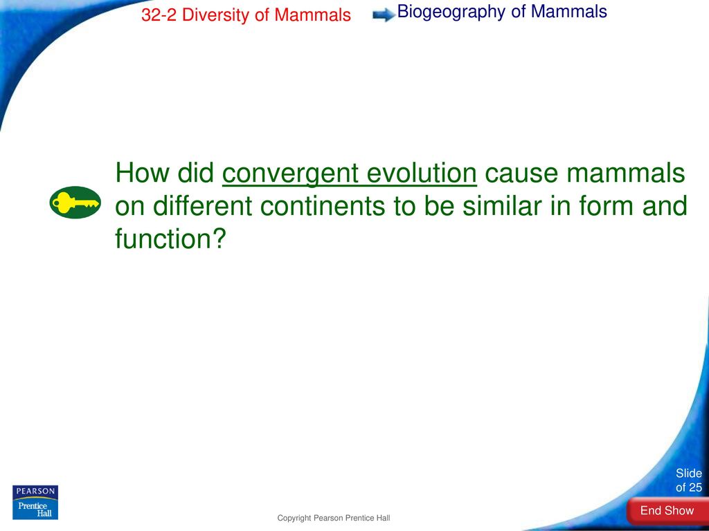 1. Describe early mammals during the Triassic period. - ppt download