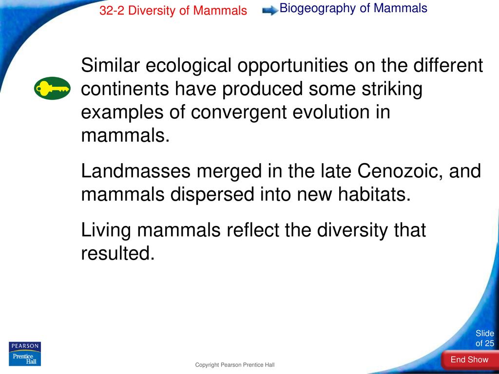 1. Describe early mammals during the Triassic period. - ppt download