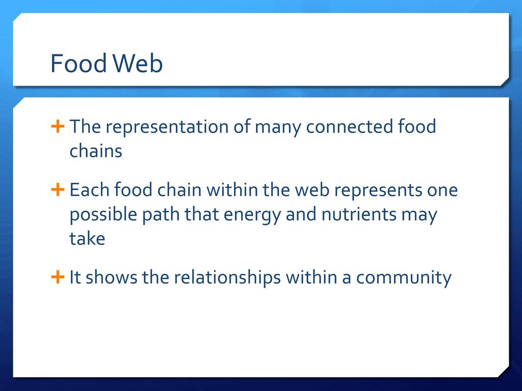 Warm Up: 2/23/2016 What is a community? Organisms living together in an ... Biology Diagrams