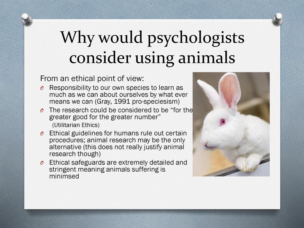 Animal Research in Psychology