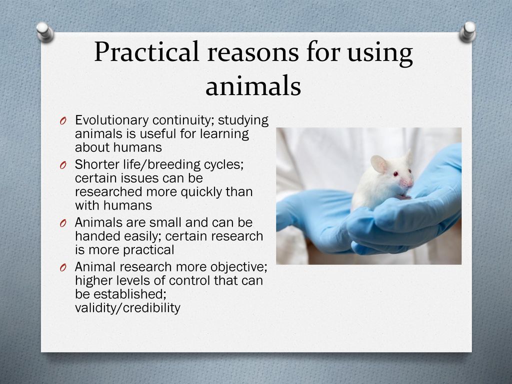 The use of non-human animals in psychological experiments - ppt download