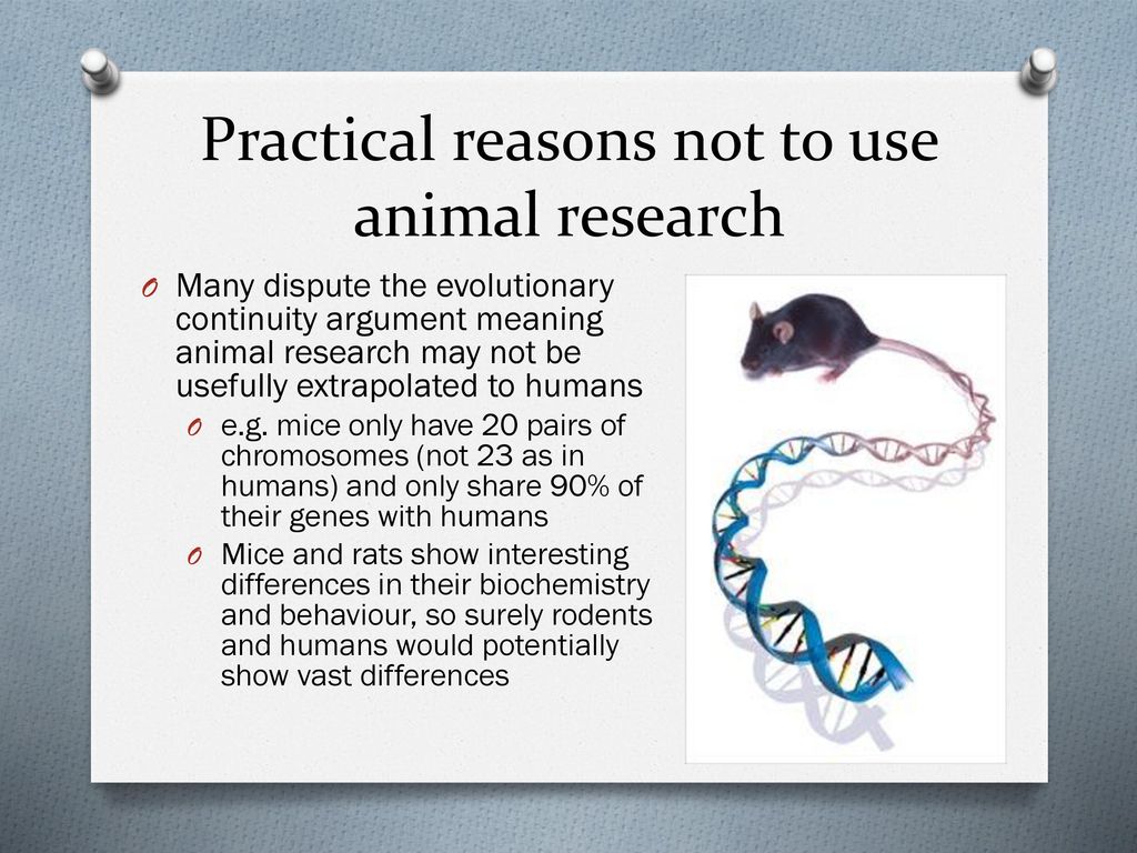 The use of non-human animals in psychological experiments - ppt download