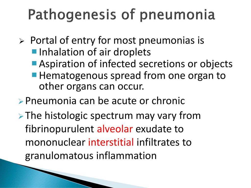 PNEUMONIA RESPIRATORY BLOCK Dr. Maha Arafah & Prof. Ammar Rikabi - ppt ...