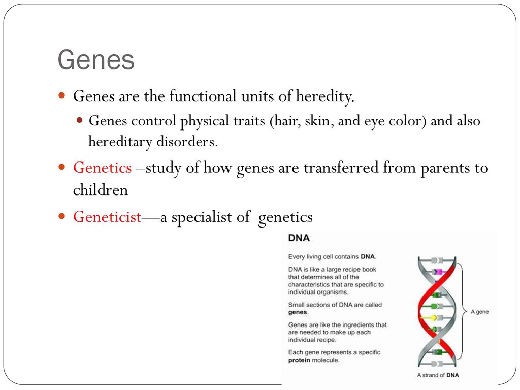 Objectives I can define terms related to cells and genetics. - ppt download