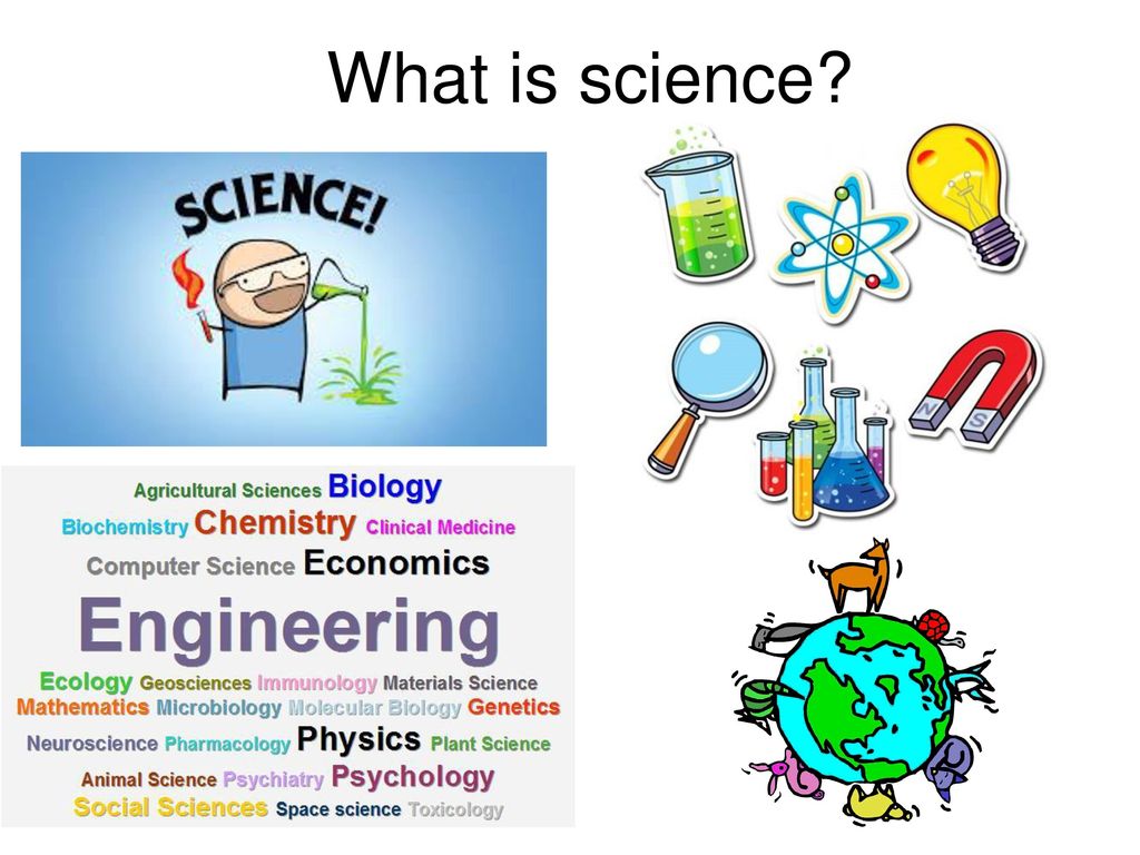 Presentation on theme: "What is science?."