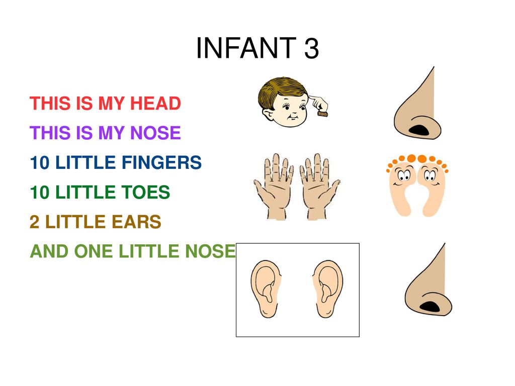 INFANT 3 THIS IS MY HEAD THIS IS MY NOSE 10 LITTLE FINGERS