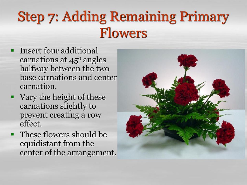 Constructing A Circular Mound Arrangement Ppt Download Constructing A Circular Mound Arrangement Ppt Download