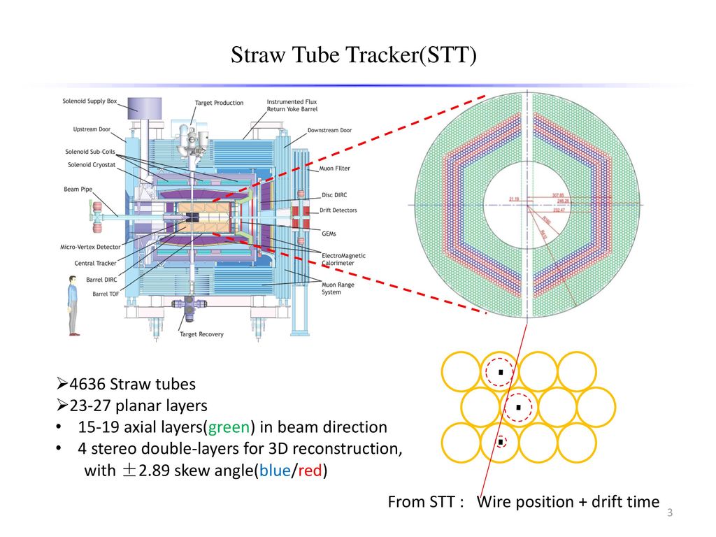 Straw Tube Tracker(STT)