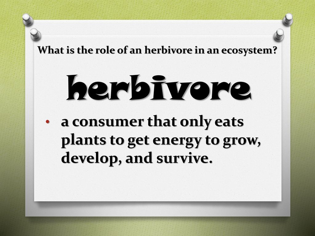 Roles in an Ecosystem Biology Diagrams