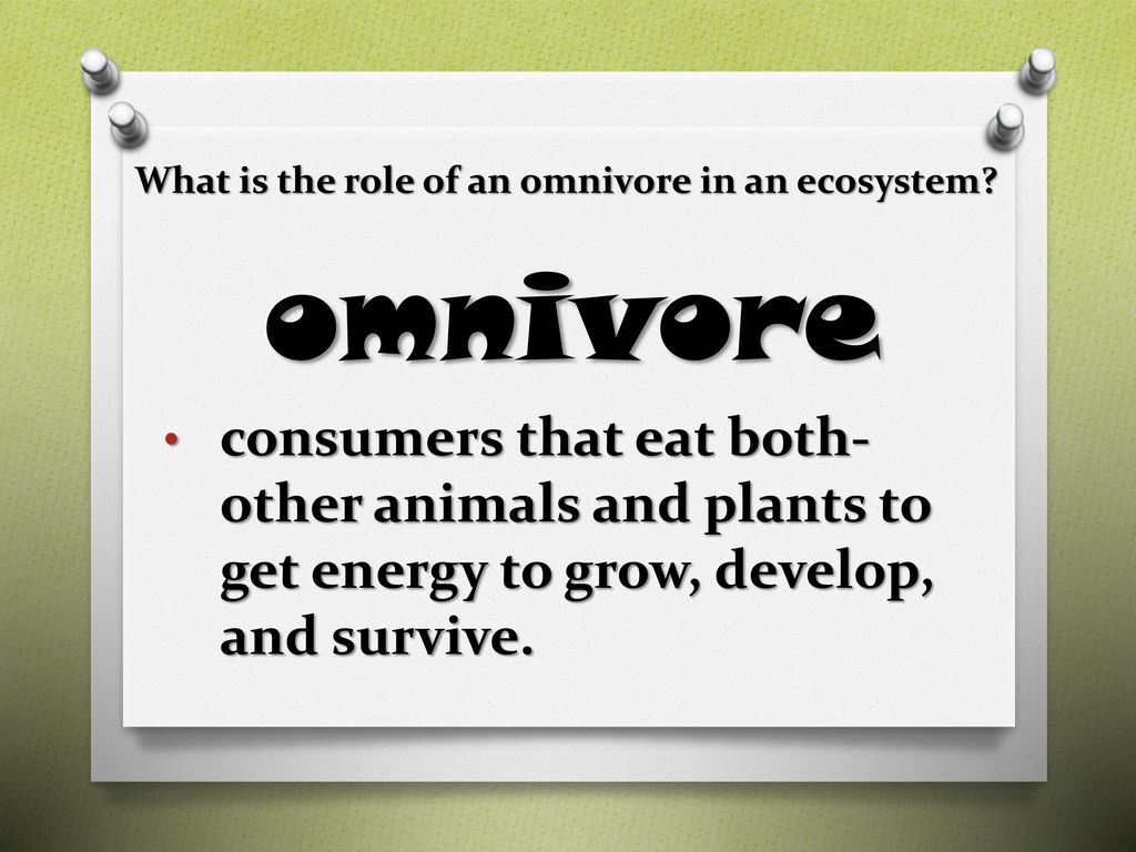 Roles in an Ecosystem?. Biology Diagrams